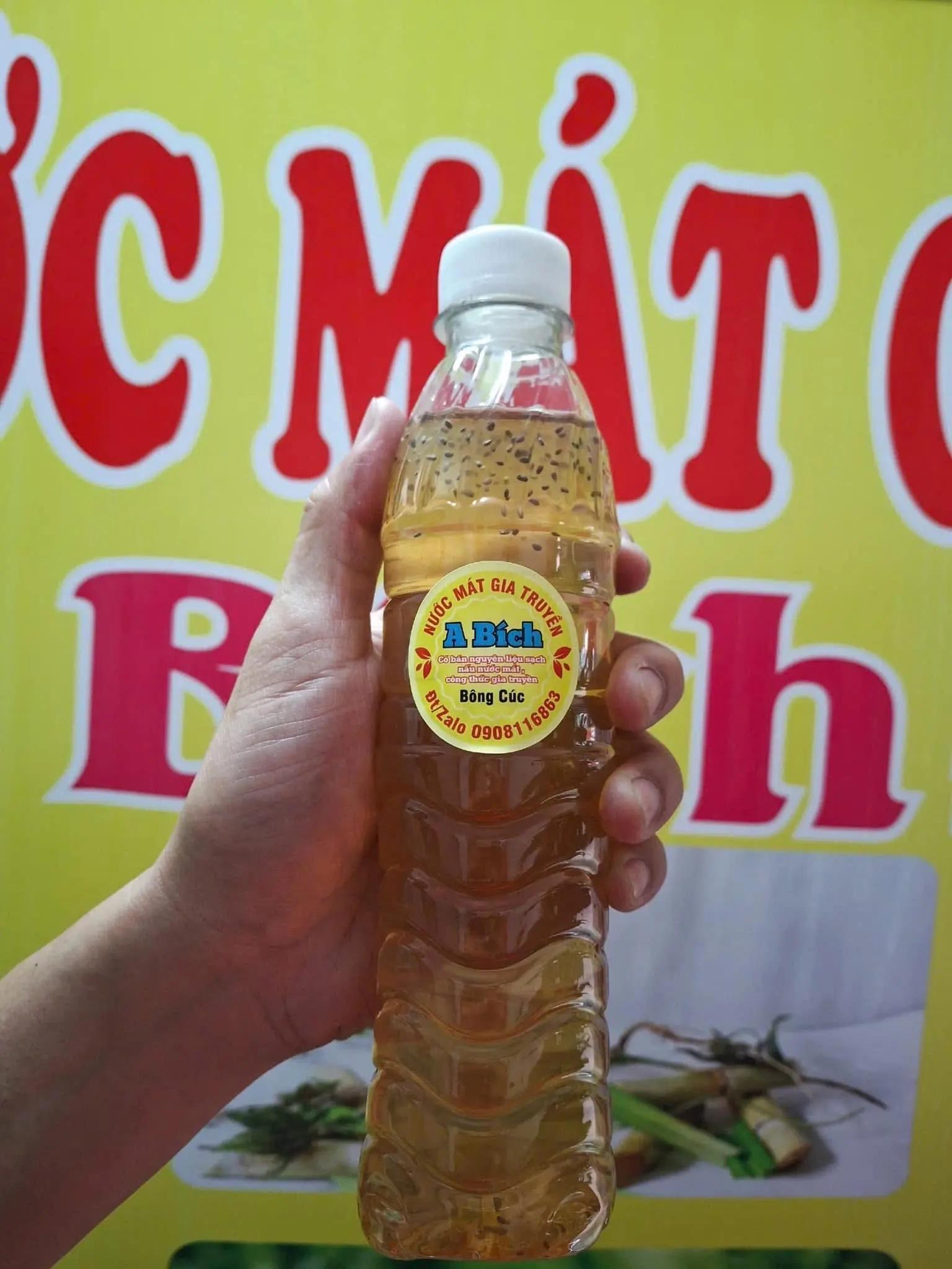 Hình ảnh Sâm bông cúc chai