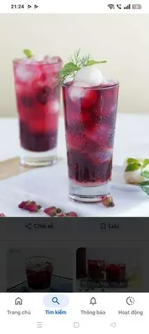 Hình ảnh Trà Việt quất 
