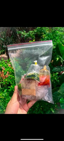 Hình ảnh Bánh tráng mỡ hành
