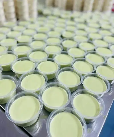 Hình ảnh Set 2 Tàu hủ tươi Singapore 