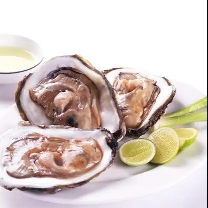 Hình ảnh Hàu đá sống wasabi