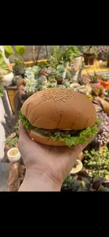 Hình ảnh hamburger Thịt Nướng