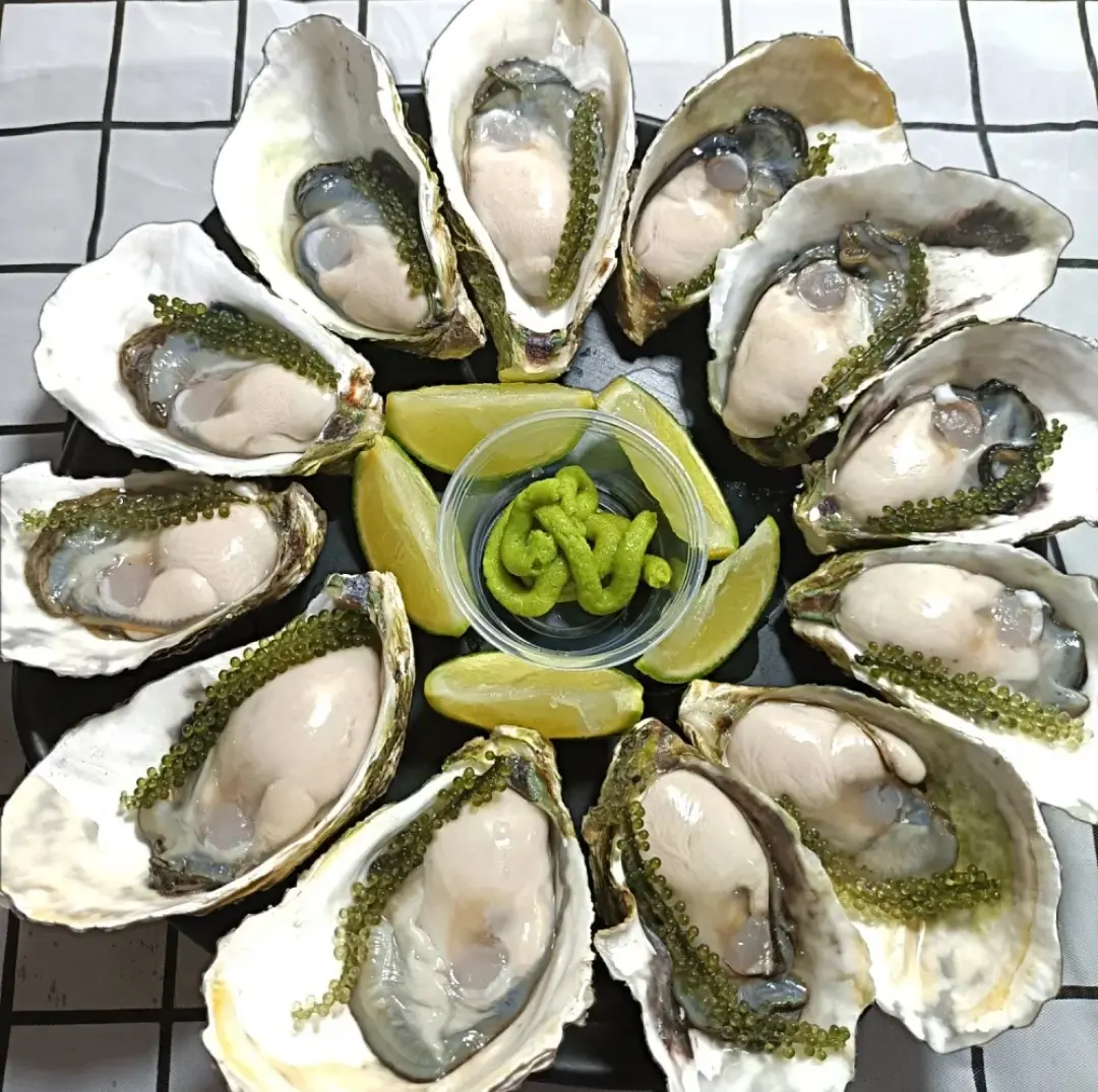 Hình ảnh Hàu Nhật sống 6 con