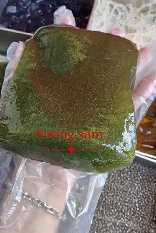 Hình ảnh sương sâm