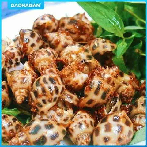 Hình ảnh ỐC HƯƠNG RANG MUỐI