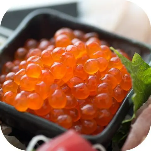 Hình ảnh Trứng cá hồi Nhật
