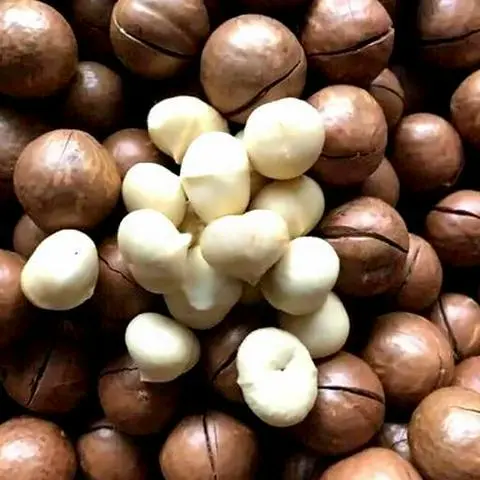 Hình ảnh Hạt Macca 500g