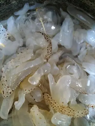 Hình ảnh Bún Sứa