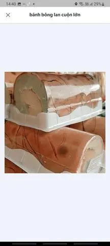 Hình ảnh bánh bông lan cuộn lớn