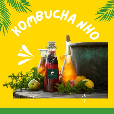 Hình ảnh Kombucha Nho (Chai 330ml)
