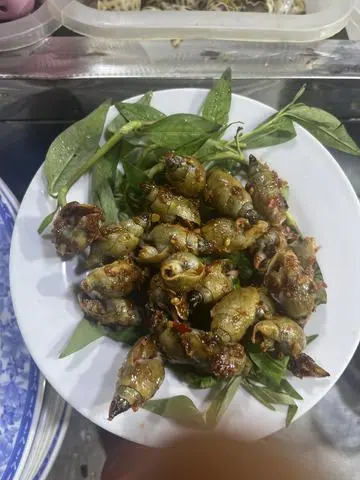 Hình ảnh cà na rang muôi