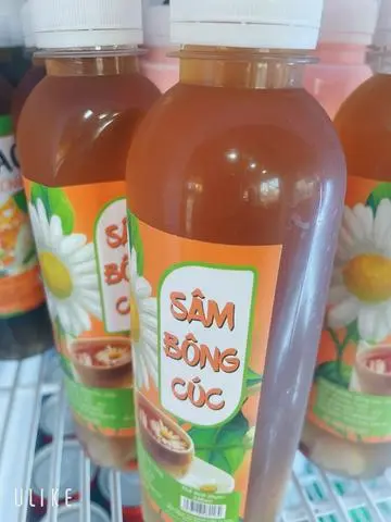 Hình ảnh Sâm bông cúc