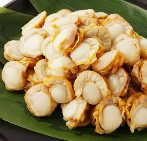 Hình ảnh sò diệp nhật 