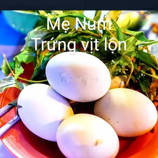Hình ảnh Hột vịt lộn úp mề luộc nước dừa