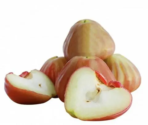 Hình ảnh Mận đường cắt sẵn 350g