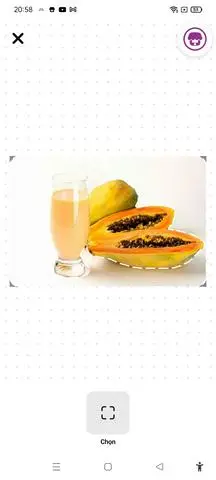 Hình ảnh Sinh tố Đủ 