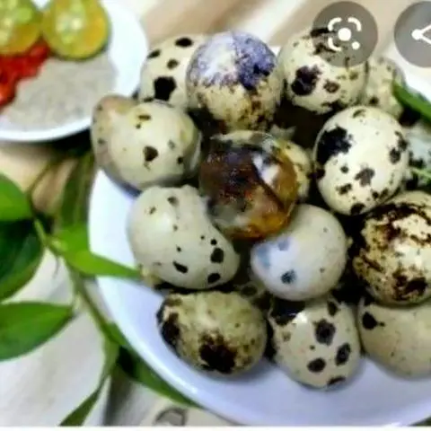 Hình ảnh Trứng Cút Lộn Luộc - 10 quả