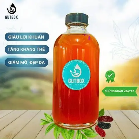Hình ảnh Water Kefir dâu tằm