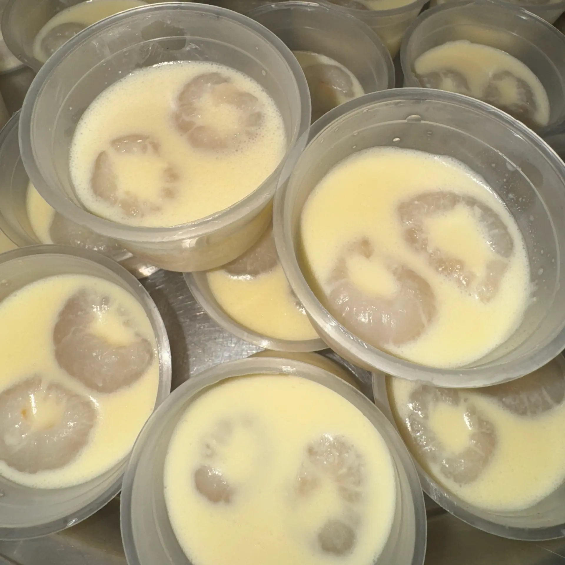 Hình ảnh Khúc Bạch Vải (1hủ 2 trái)
