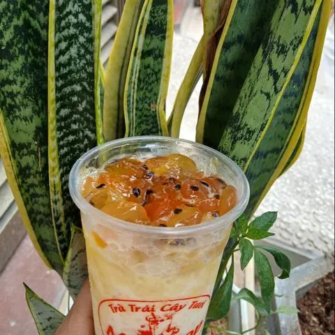 Hình ảnh Sữa Chua   Đác  Leo
