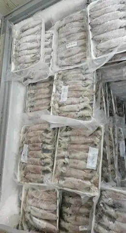 Hình ảnh mực trứng tươi 