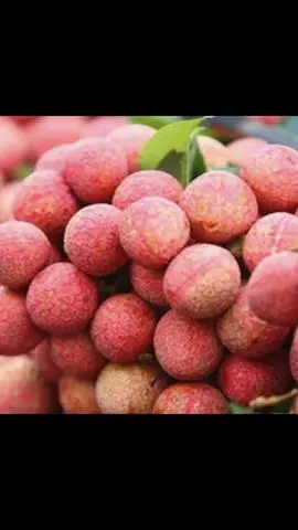 Hình ảnh Hộp vải 300gr