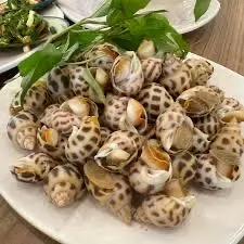 Hình ảnh ốc hương nướng mọi