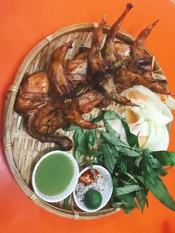 Hình ảnh Chim cút
