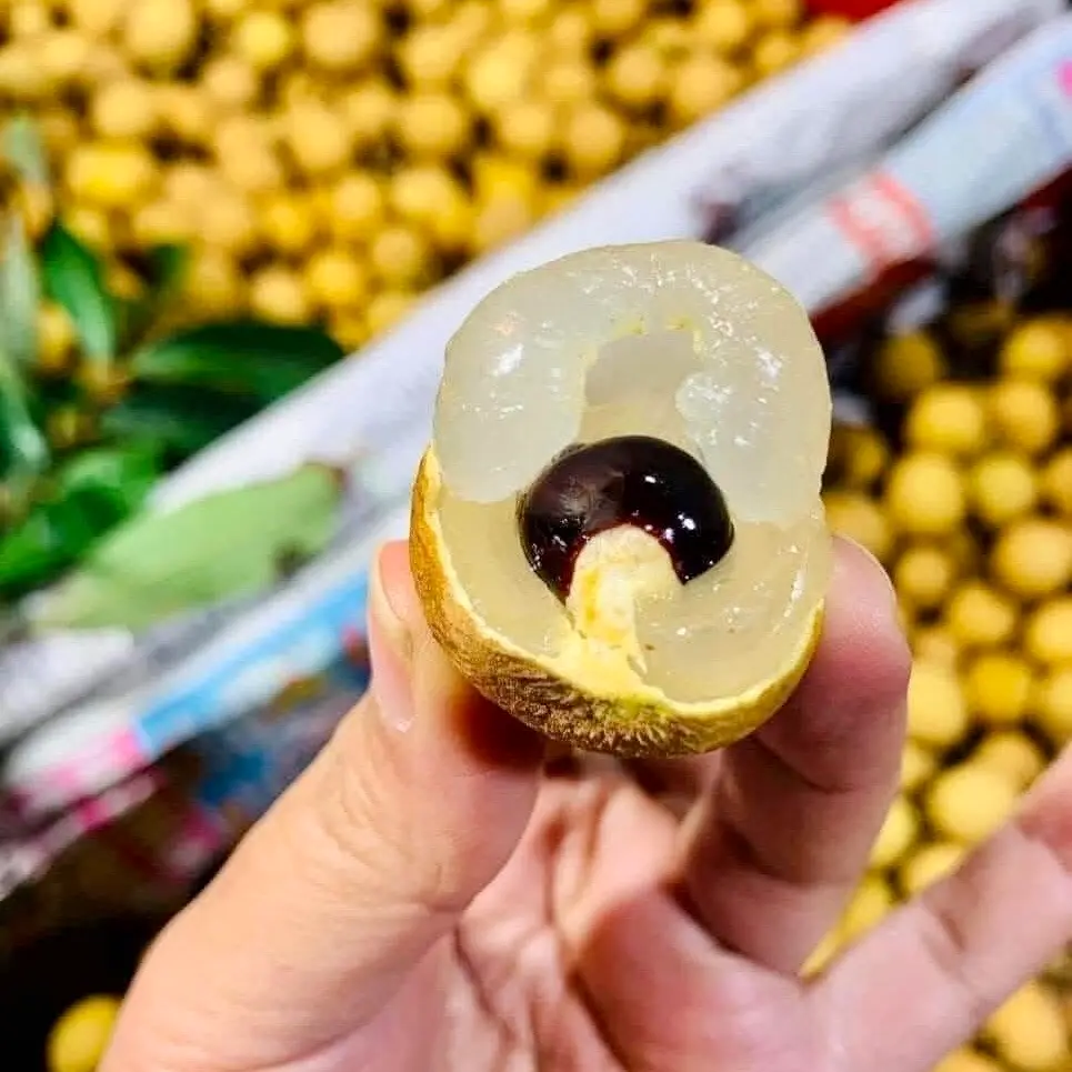 Hình ảnh Khay 500 Nhãn Sông Mã ngon
