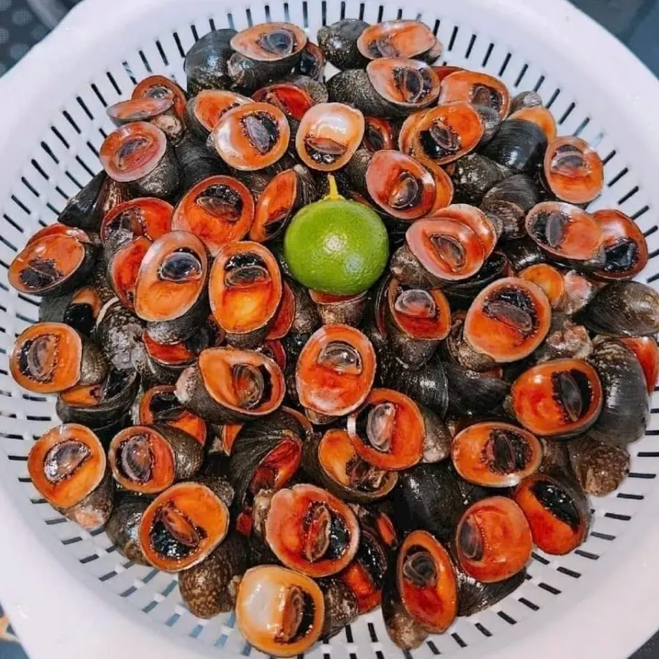 Hình ảnh DỪA CỒ XÀO BƠ TỎI  - NỬA KG