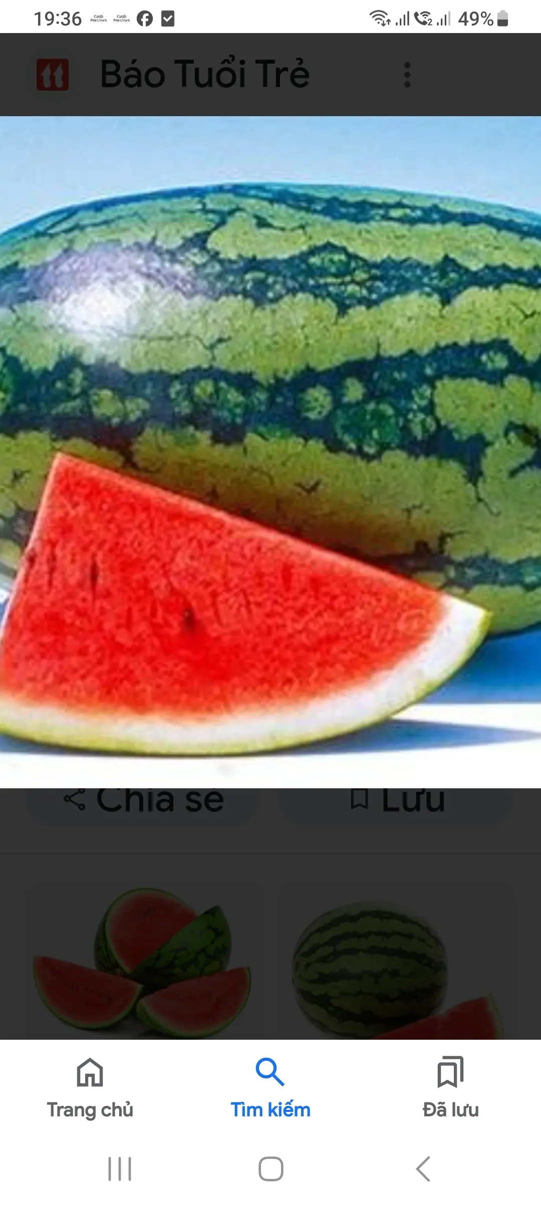 Hình ảnh Dưa hấu