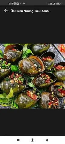 Hình ảnh ỐC BƯƠU NƯỚNG TIÊU XANH