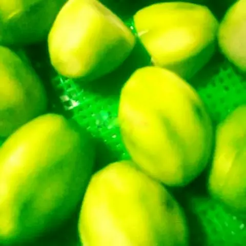 Hình ảnh Bánh Tráng Phơi Sương - Muối Tôm Hành Tỏi Phi Ruốc