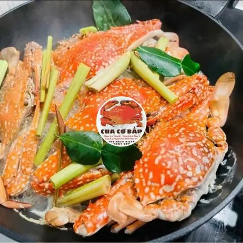 Hình ảnh 3 GHẸ SIZE VỪA HẤP