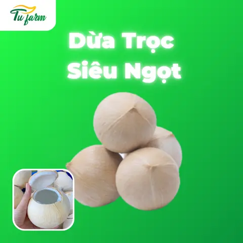 Hình ảnh Dừa trọc-1 trái