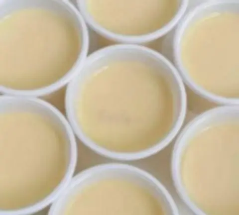 Hình ảnh Yaourt phô mai Đà Lạt