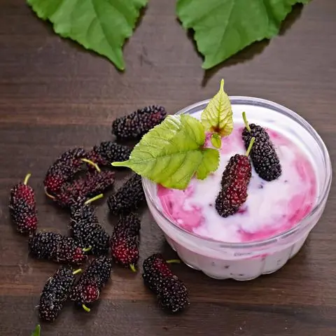 Hình ảnh Sữa chua dâu tằm