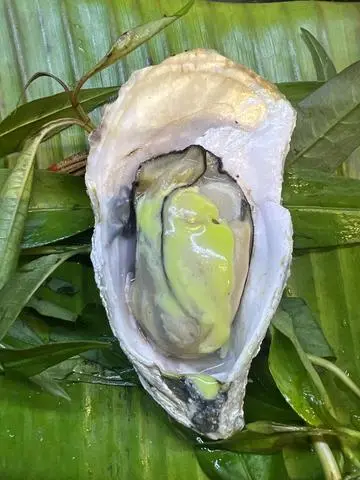 Hình ảnh Hàu nướng mù tạt