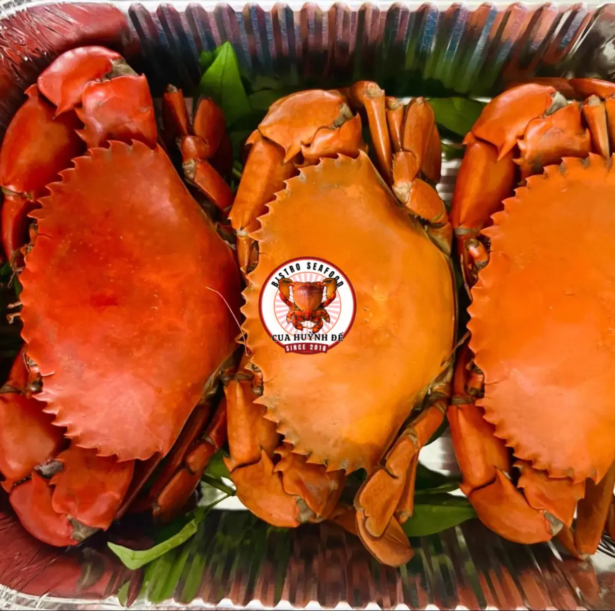 Hình ảnh 3 Cua Thịt Size Nhỏ Hấp 