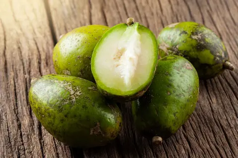 Hình ảnh cóc ướp lạnh 