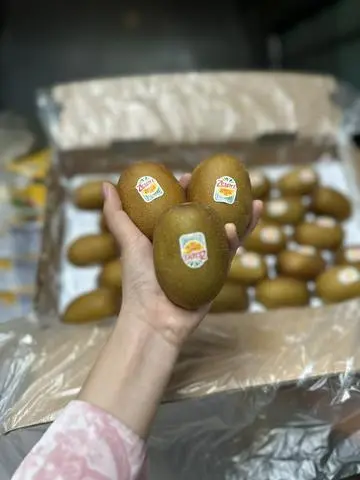 Hình ảnh Kiwi vàng