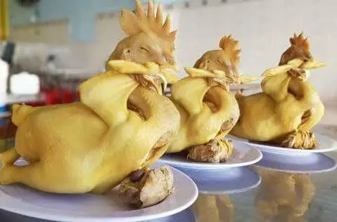 Hình ảnh Gà nguyên con