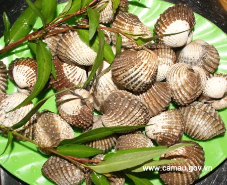 Hình ảnh Sò huyết nướng mọi