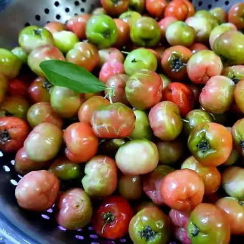 Hình ảnh Sơ ri