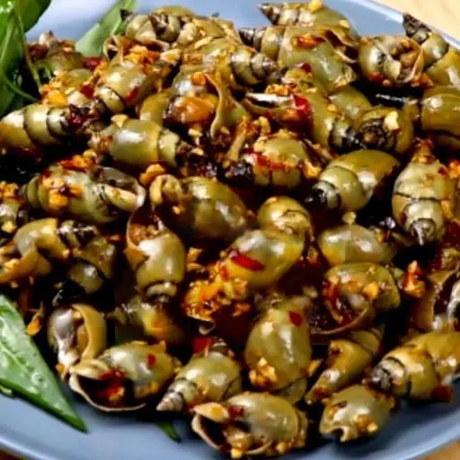 Hình ảnh Ốc cà na