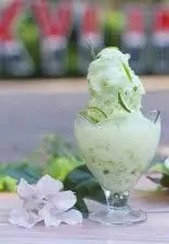 Hình ảnh Tuyết Sơn Phi Hồ