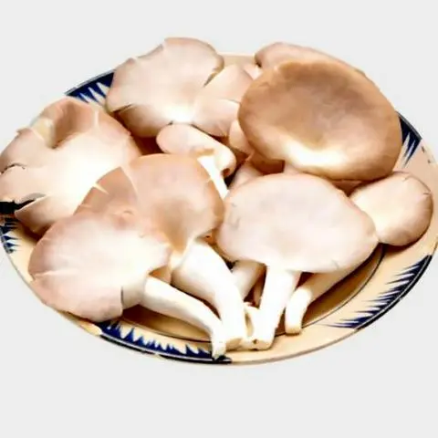 Hình ảnh Nấm Thêm