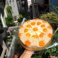Hình ảnh Bông lan trứng muối đặc biệt - 20cm