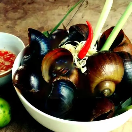 Hình ảnh Ốc bươu