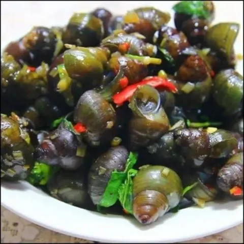 Hình ảnh ốc hút miền trung 